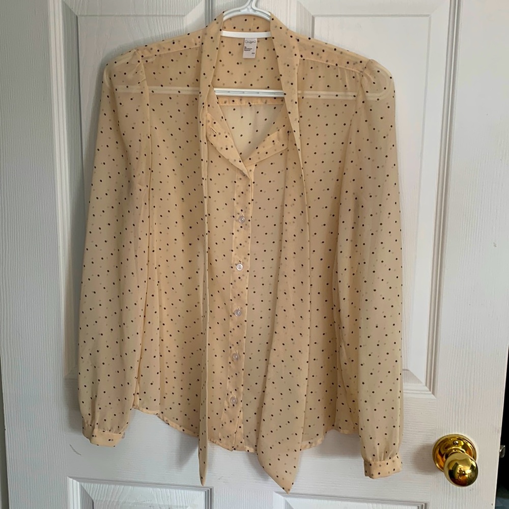 American Apparel Polka Dot Chiffon Blouse with Pussy Bow.